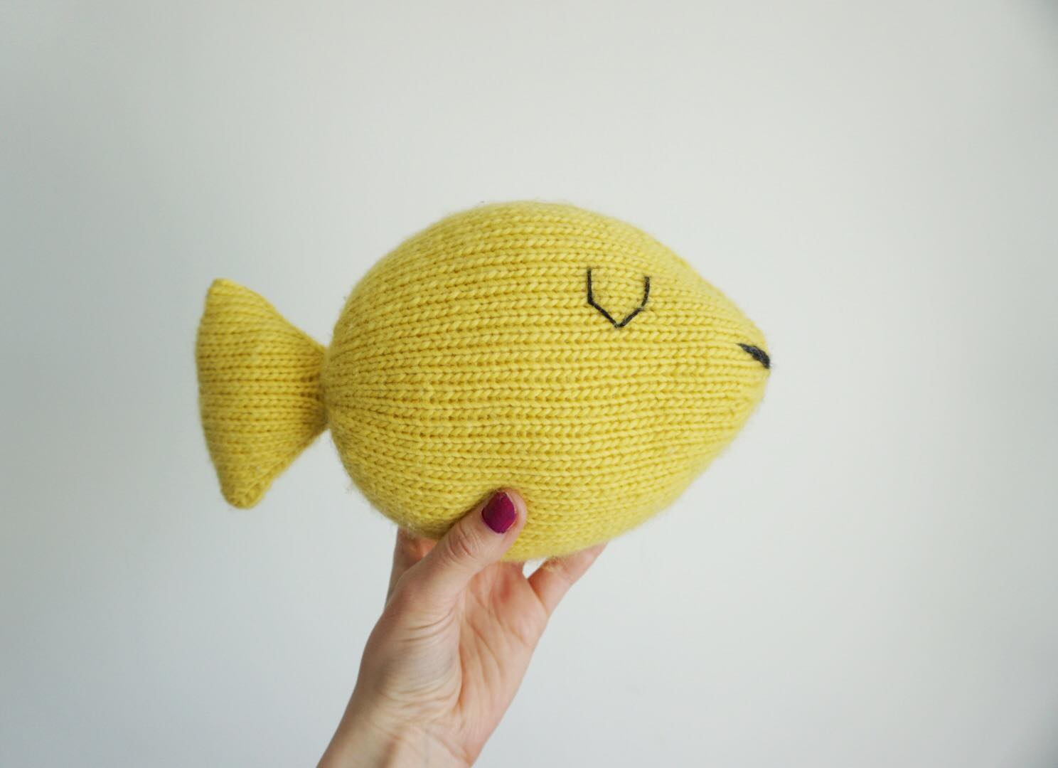 Fish toy