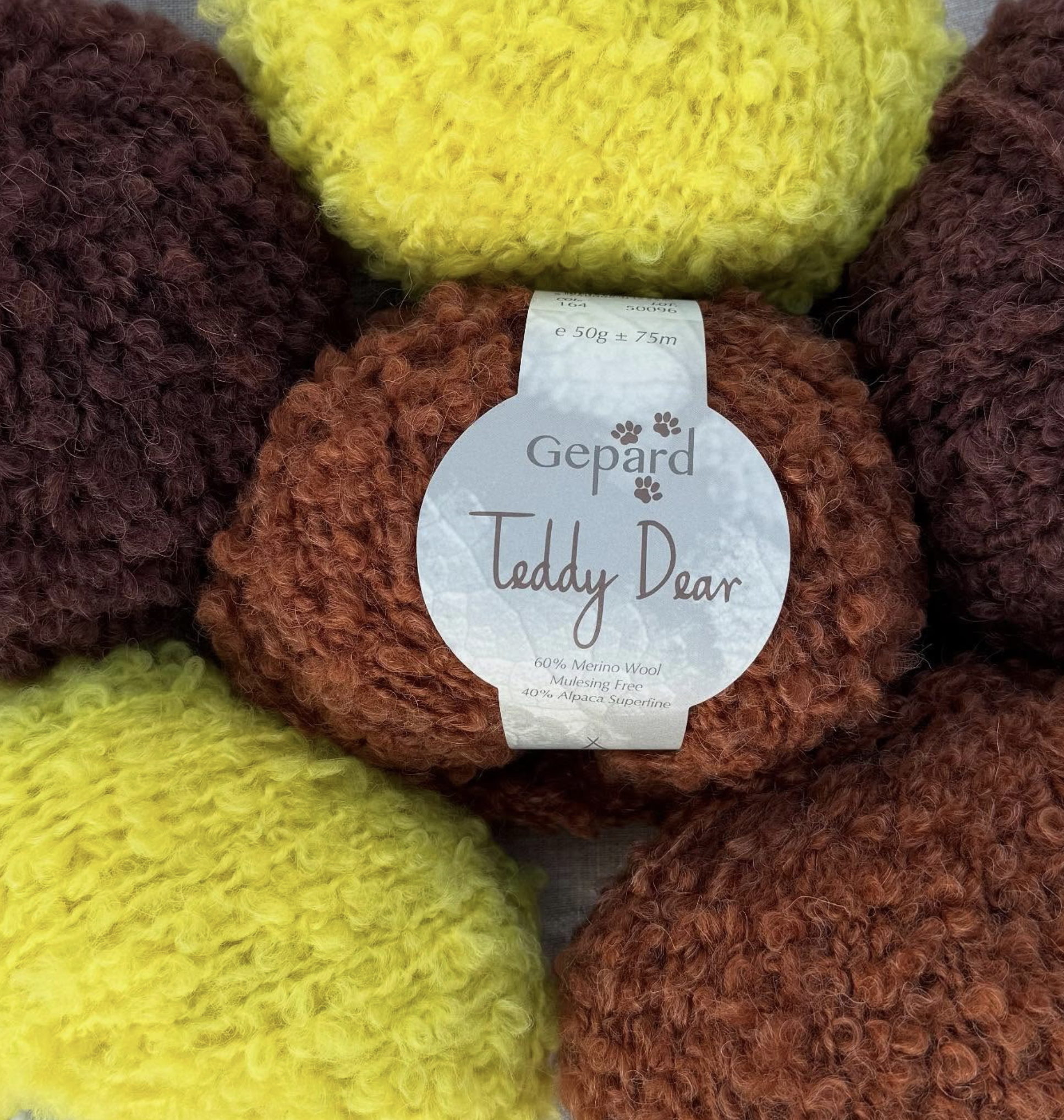 Teddy Dear