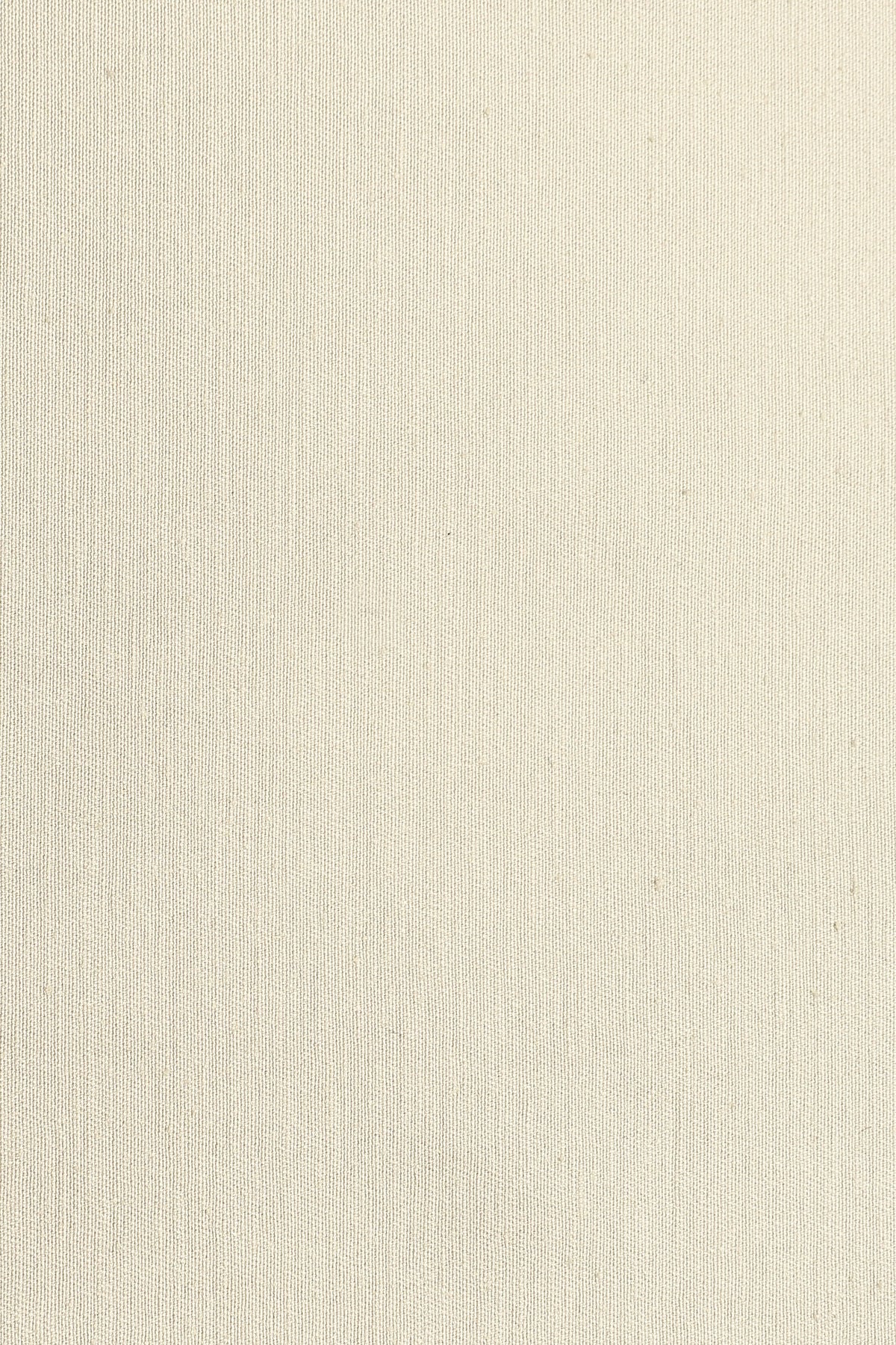 Chino Cotton - Limestone - 6
