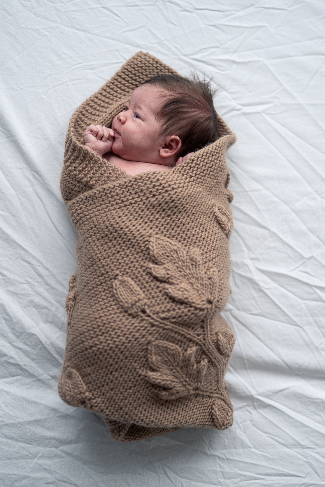 Oak leaf blanket