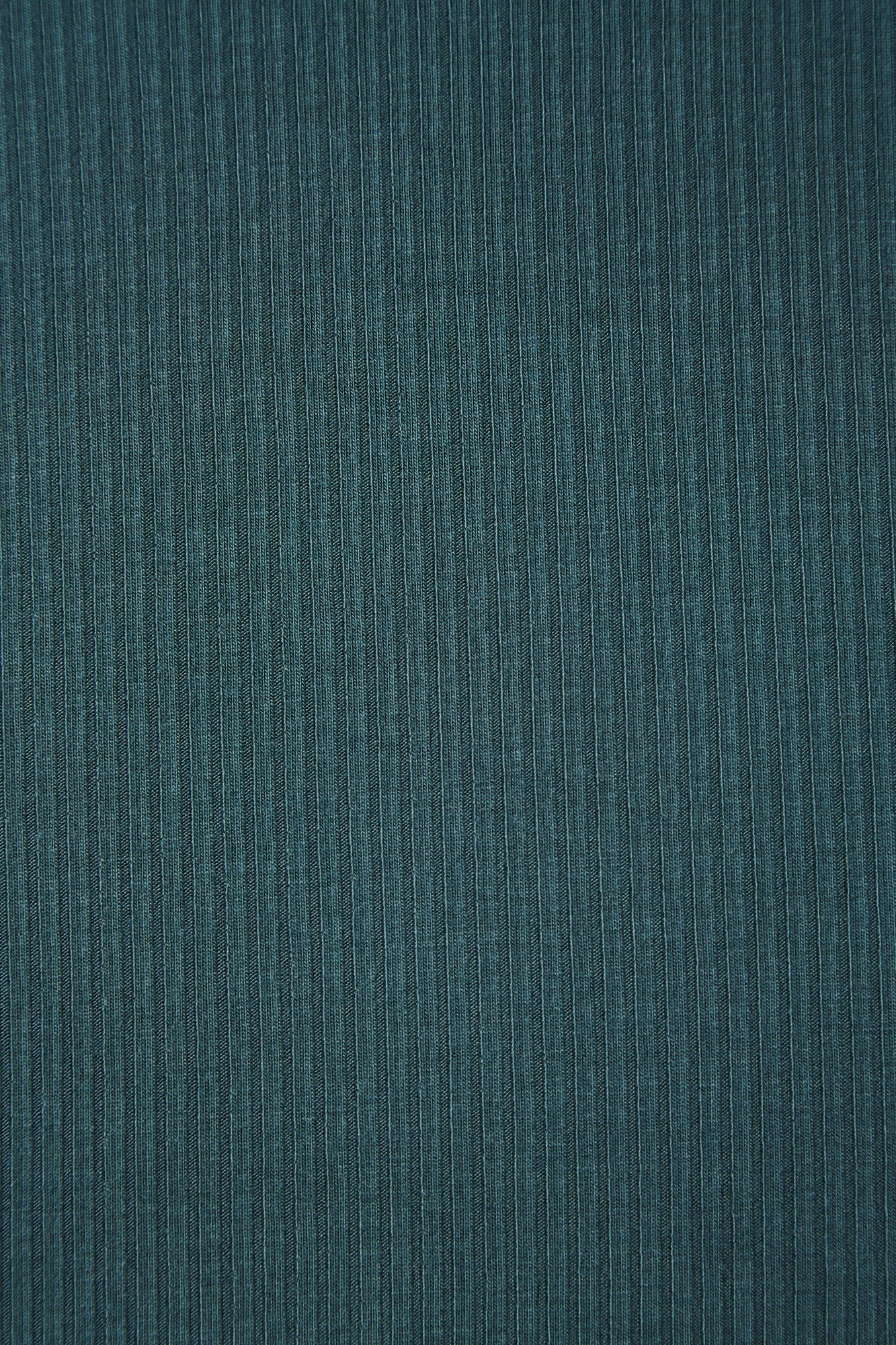 Derby Ribbed Jersey