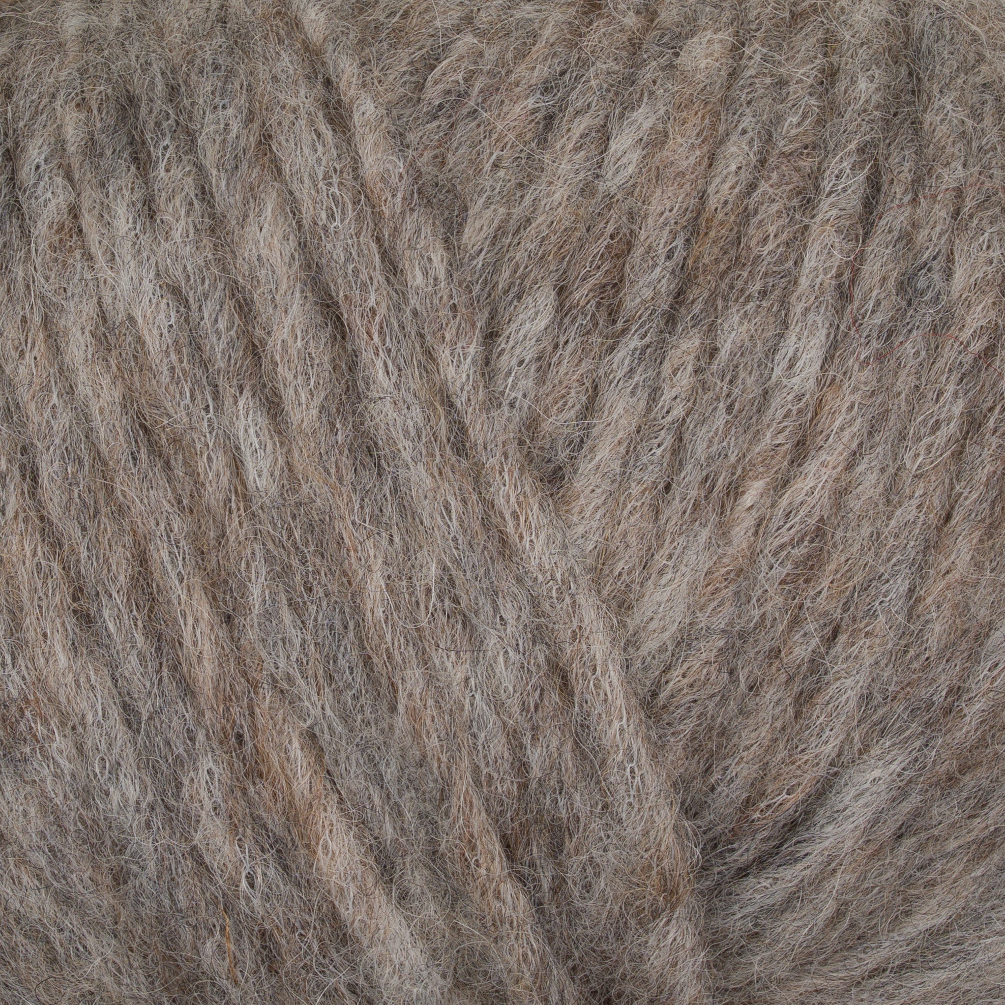 Gepard Puno 147 Wild Rabbit close-up