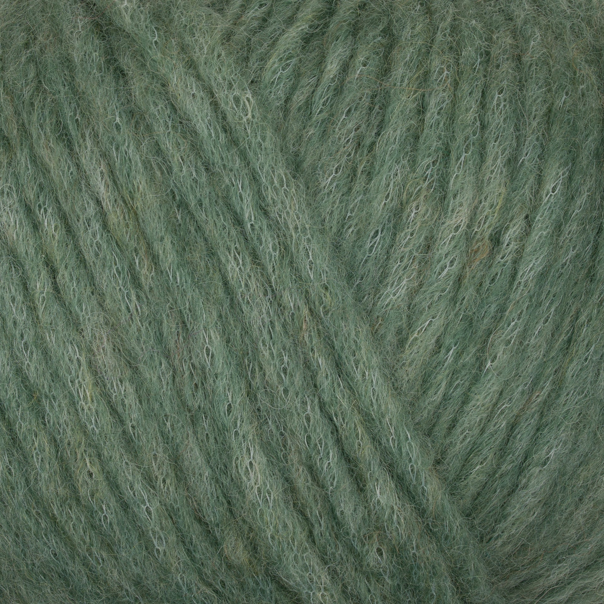 Gepard Puno 822 Lichen close-up