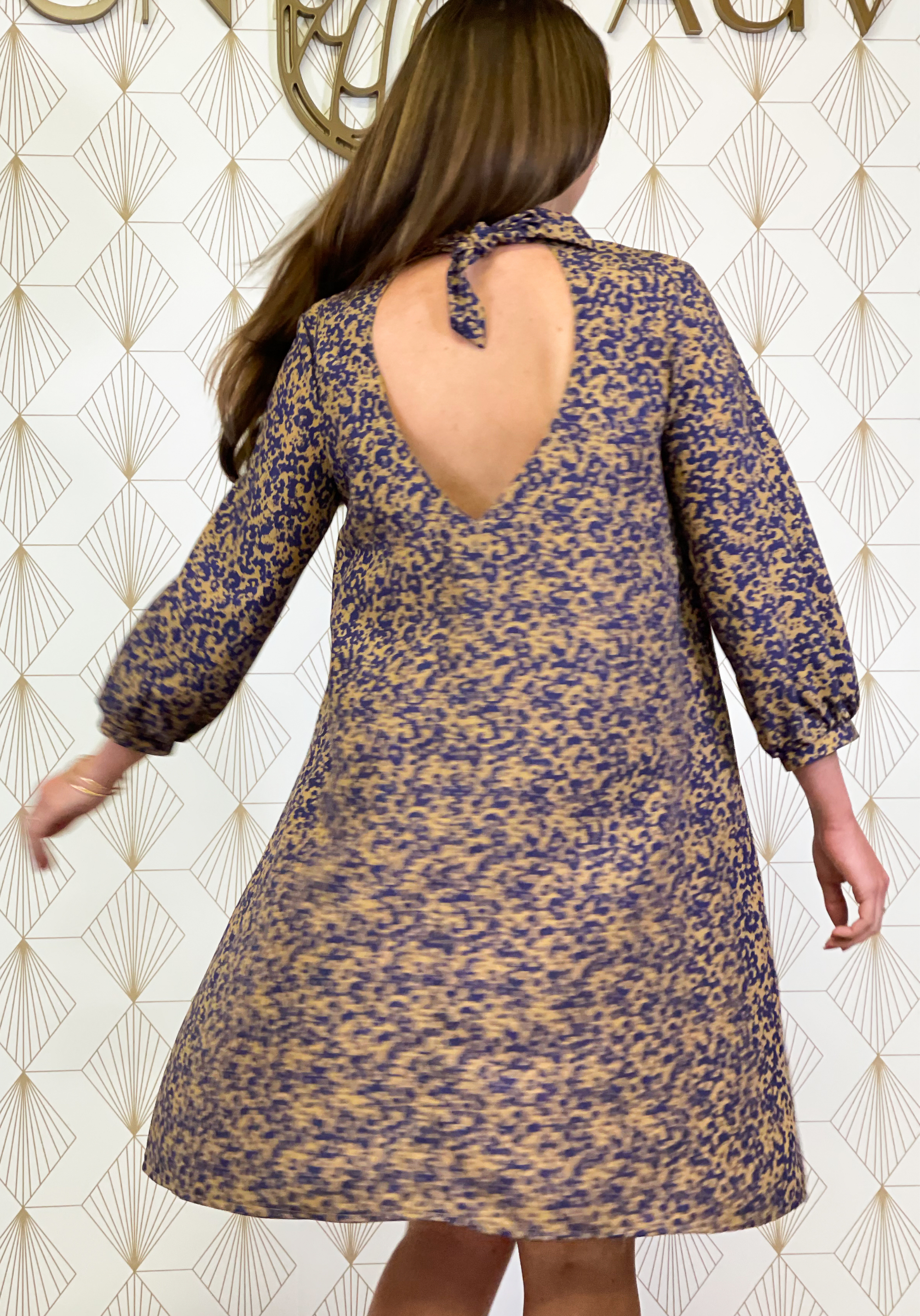 Mia Dress/Blouse