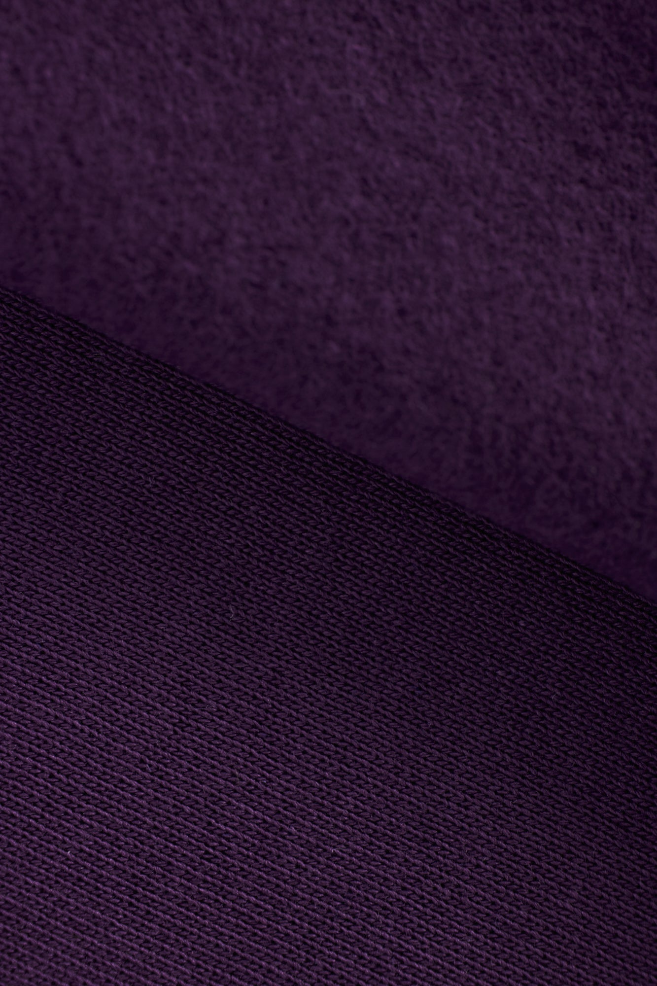 Organic Basic Brushed Sweat
