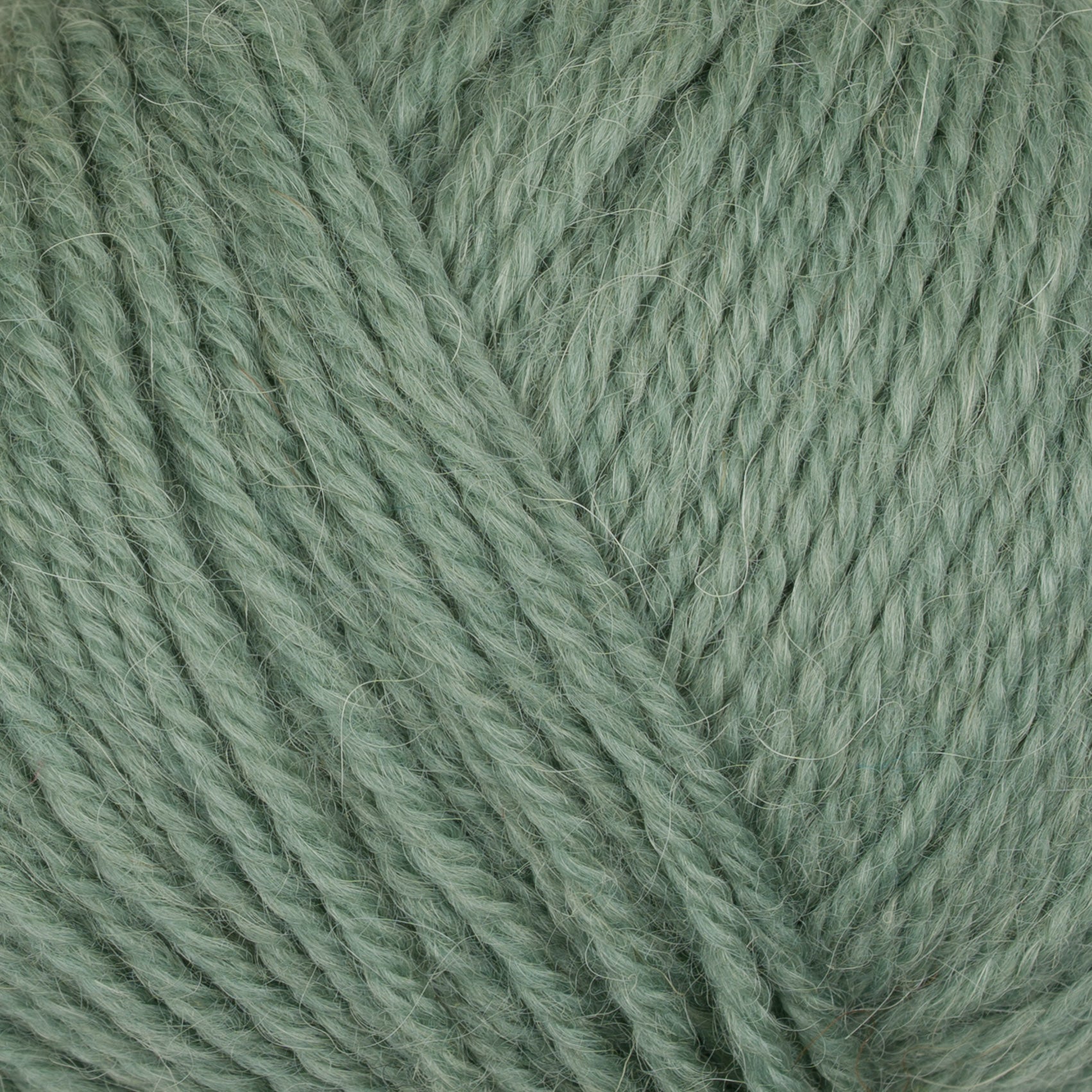 Gepard Pura Lana 818 dusty spring close-up