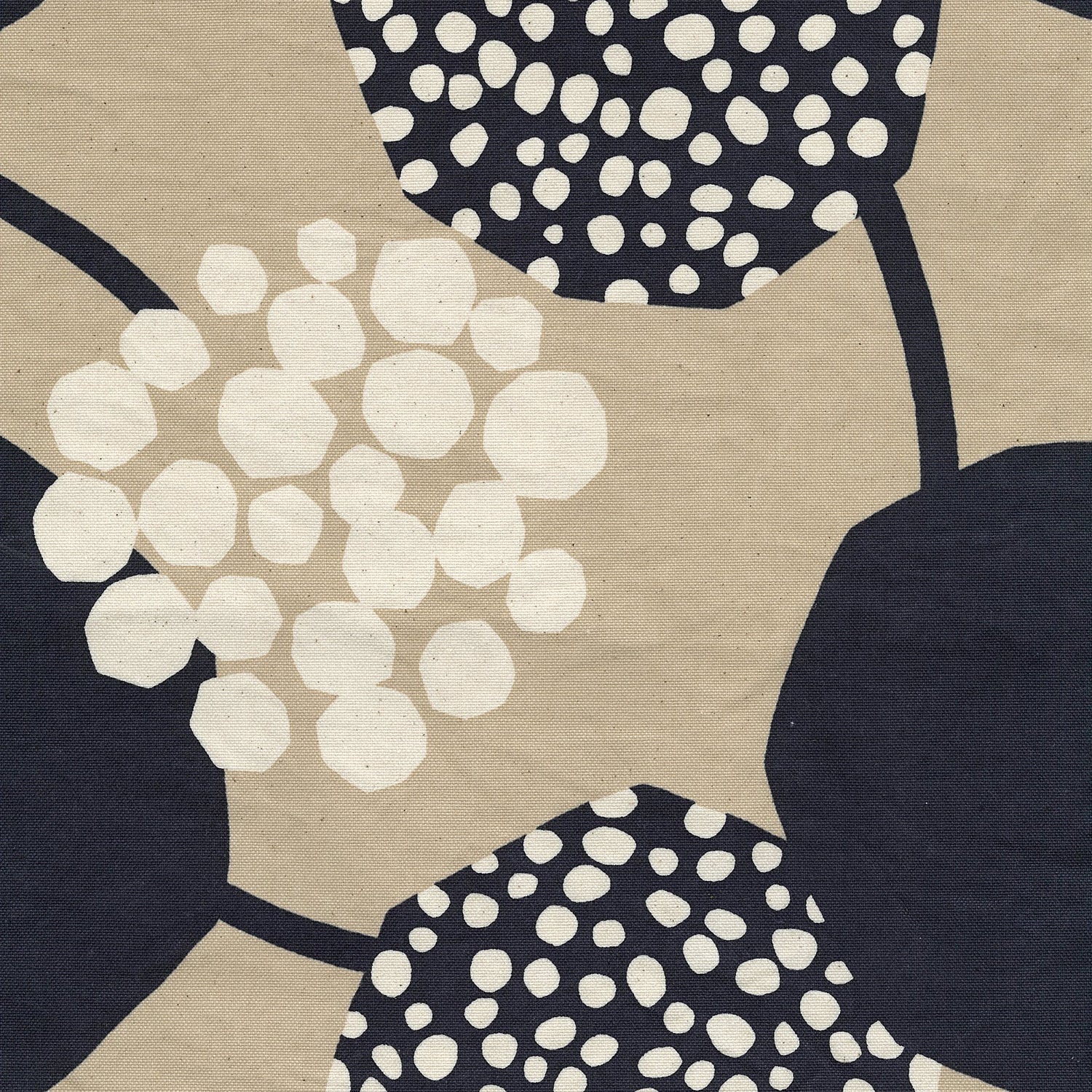 echino Crop – EKX-98100-100B