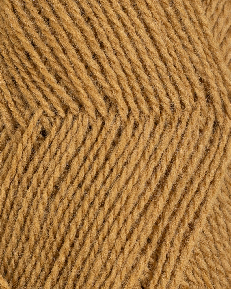 4067 Kamelbrun