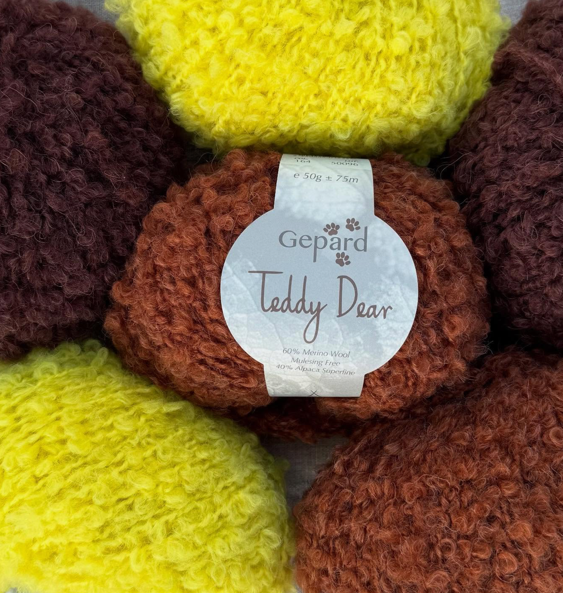Teddy Dear