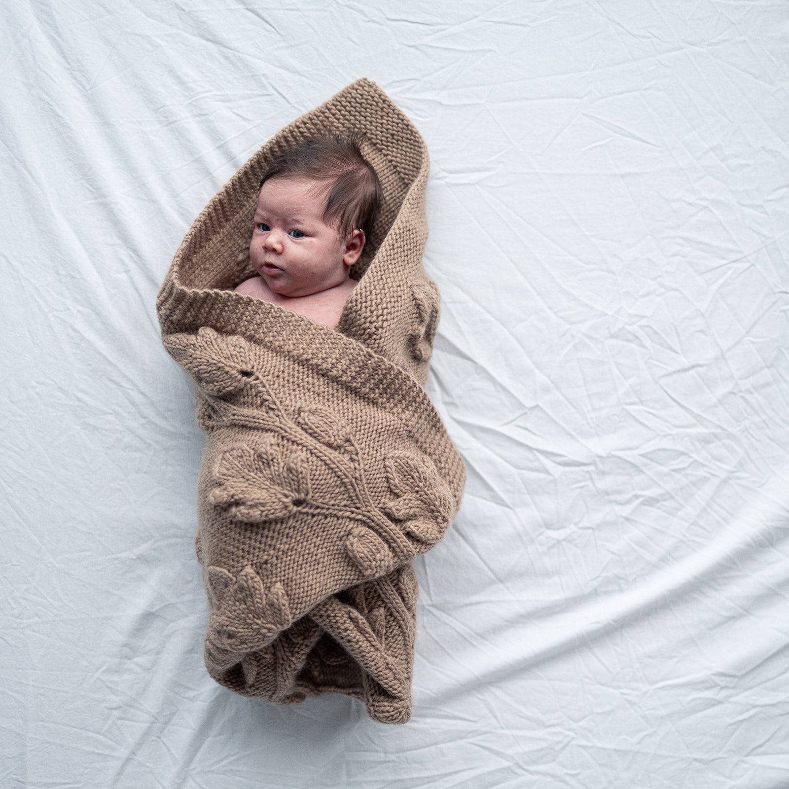 Oak leaf blanket