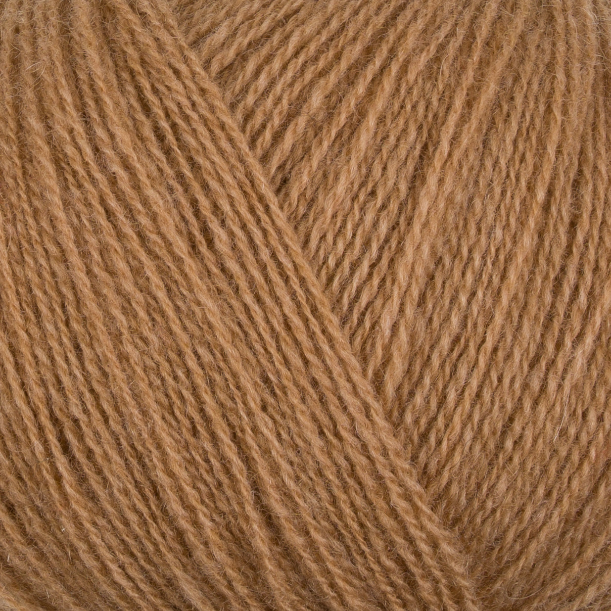 Cashmere Lace 116 B close-up