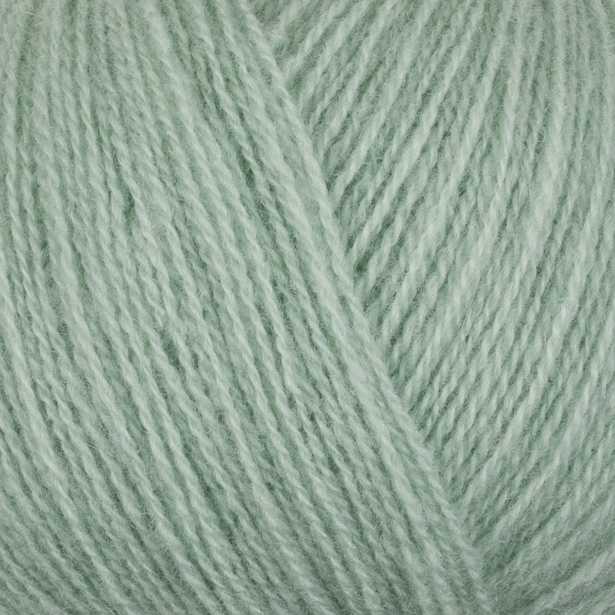 Cashmere Lace 818 B close-up