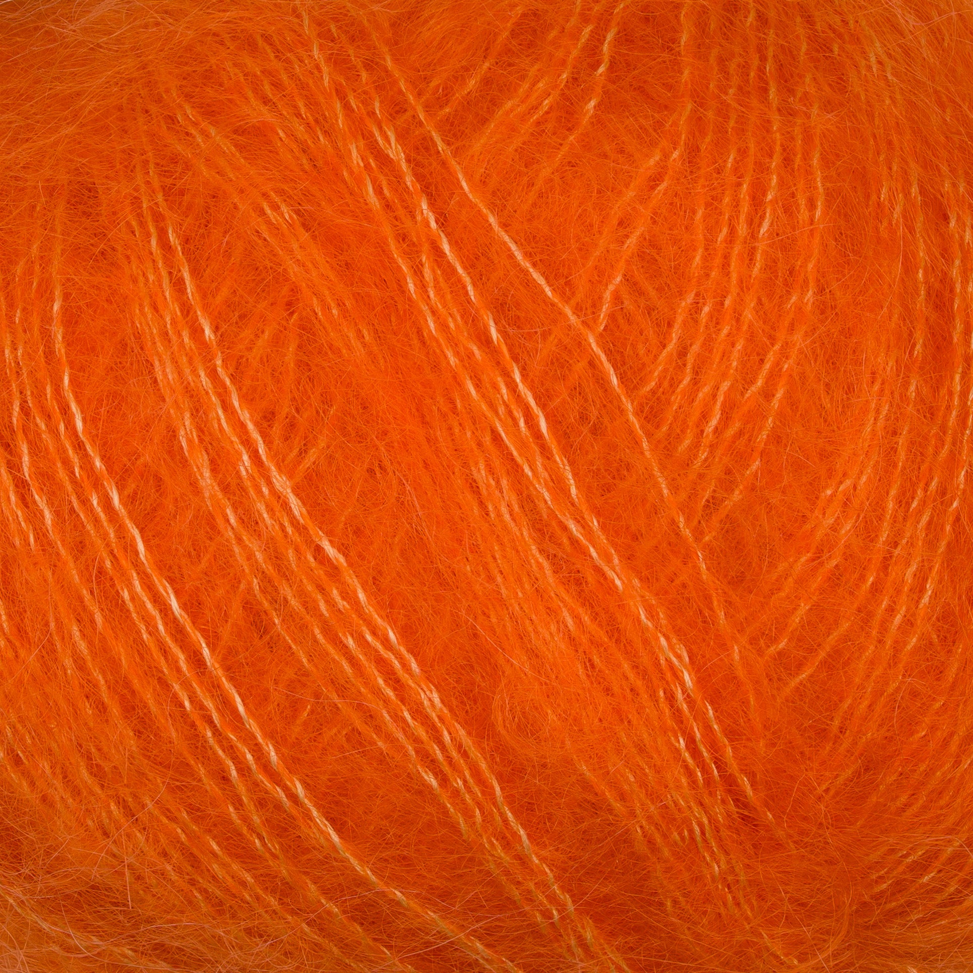 Gepard Kid Seta 218 close-up