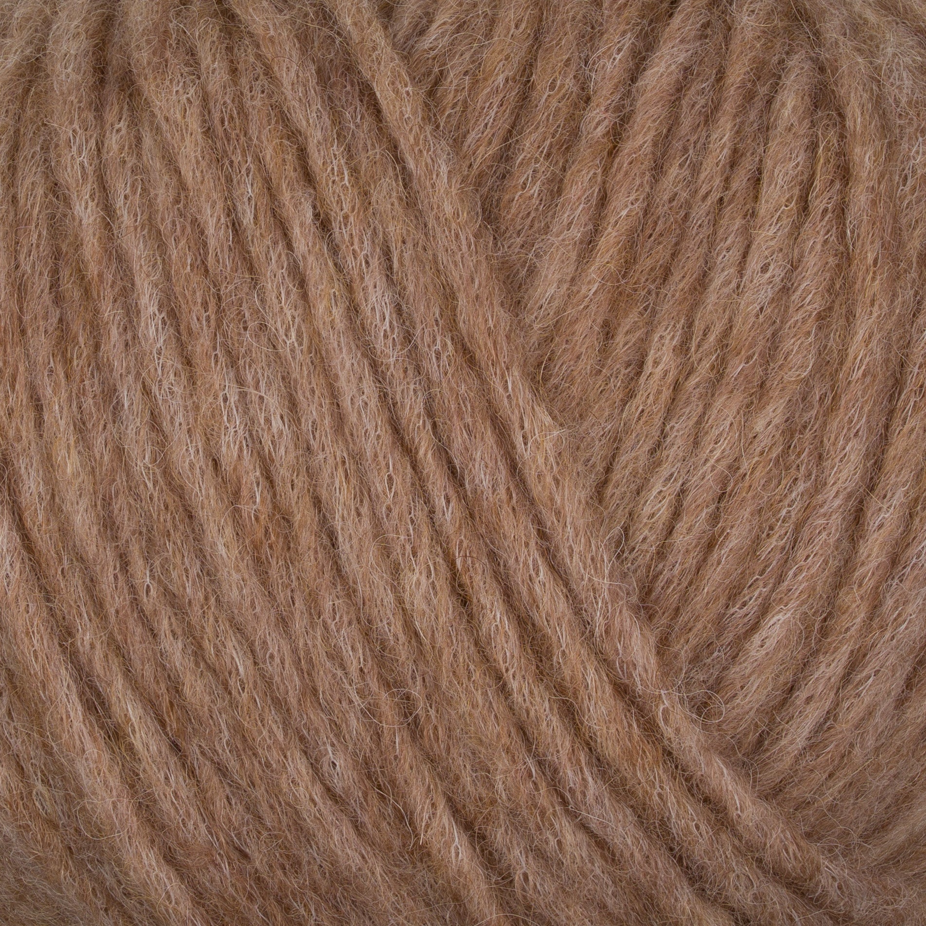 Gepard Puno 132 Camel close-up