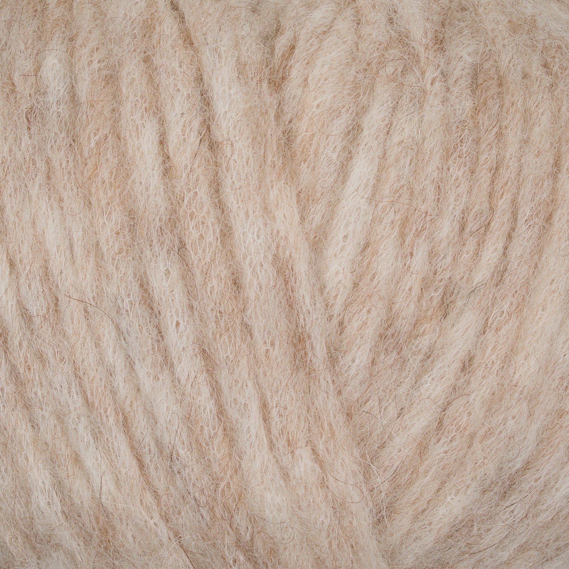 Gepard Puno 142 Sandstone close-up