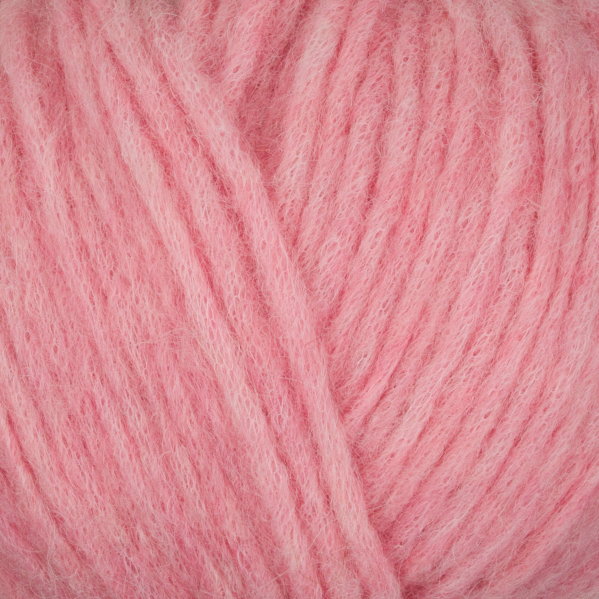 Gepard Puno 415 Dusty Rose close-up