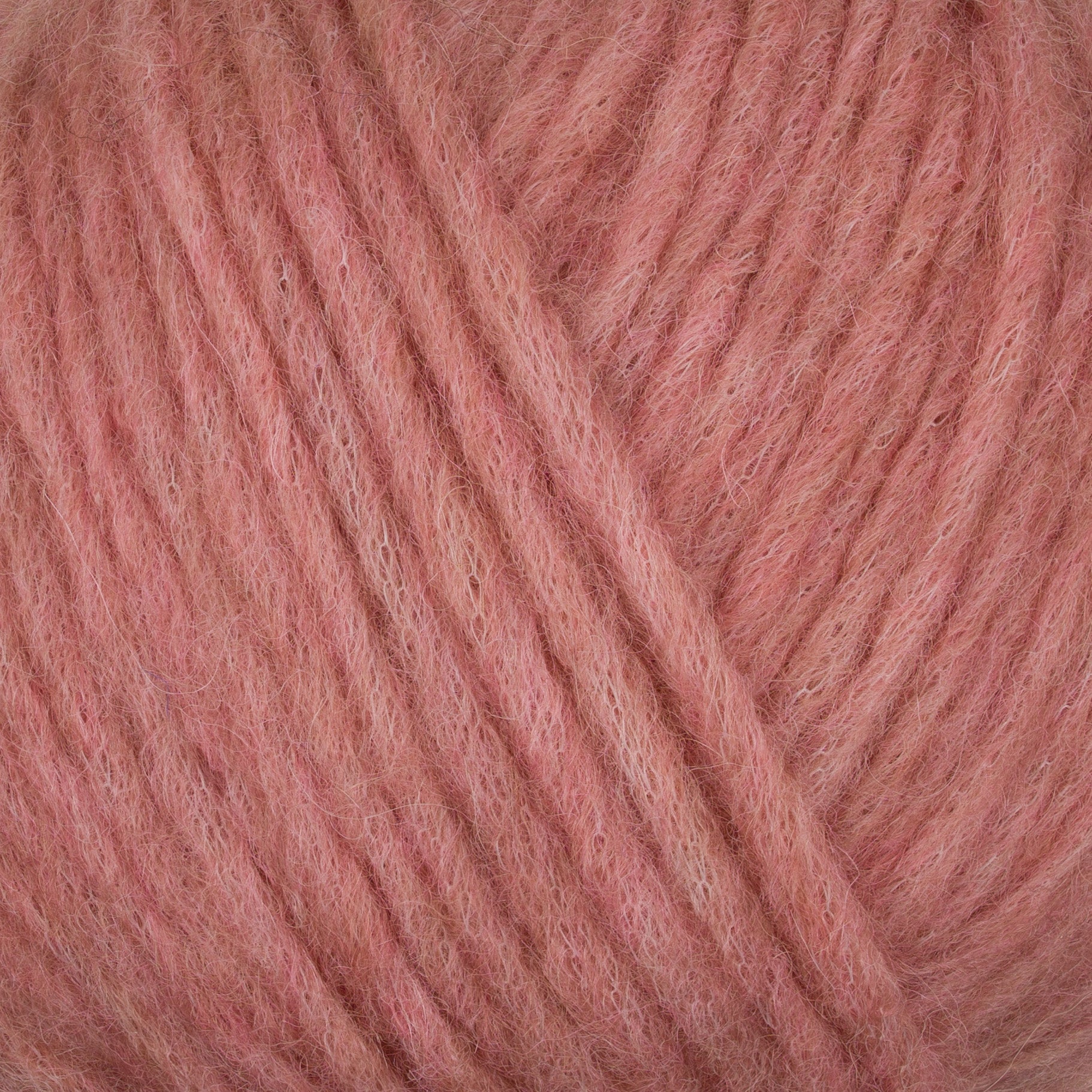 Gepard Puno 418 Heather Rose close-up