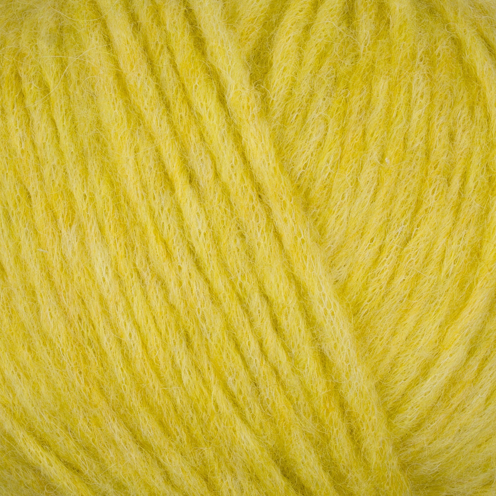 Gepard Puno 811 Lemon Grass close-up