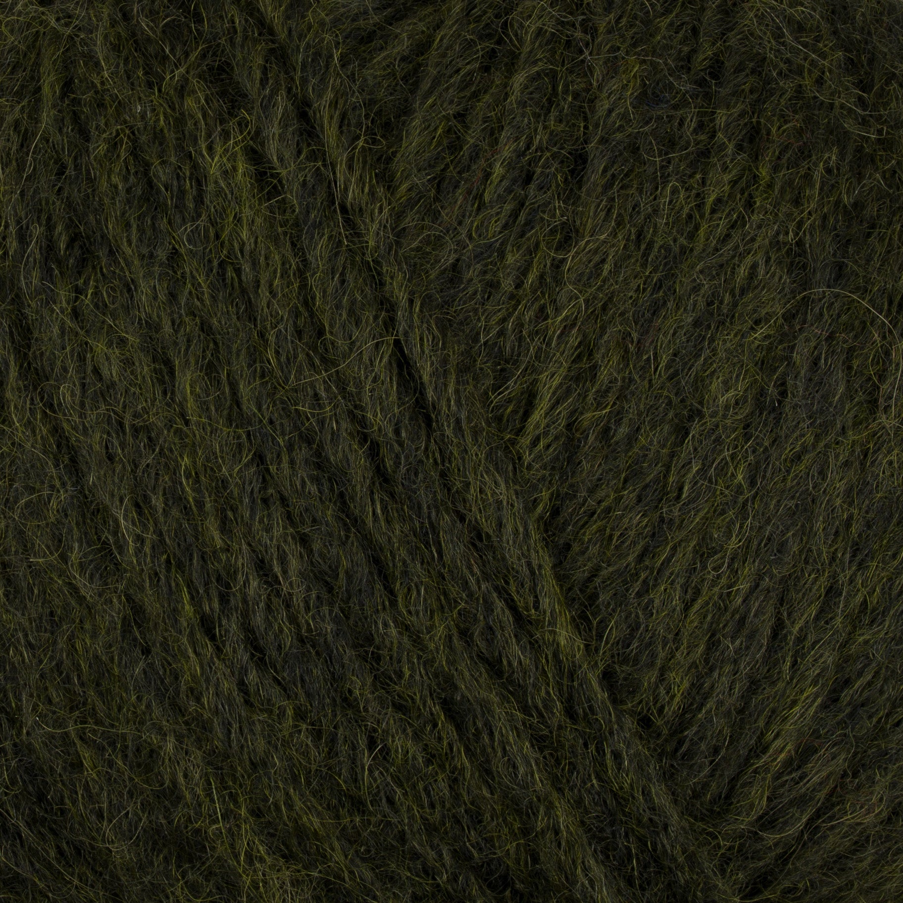 Gepard Puno 868 Crows Moss close-up