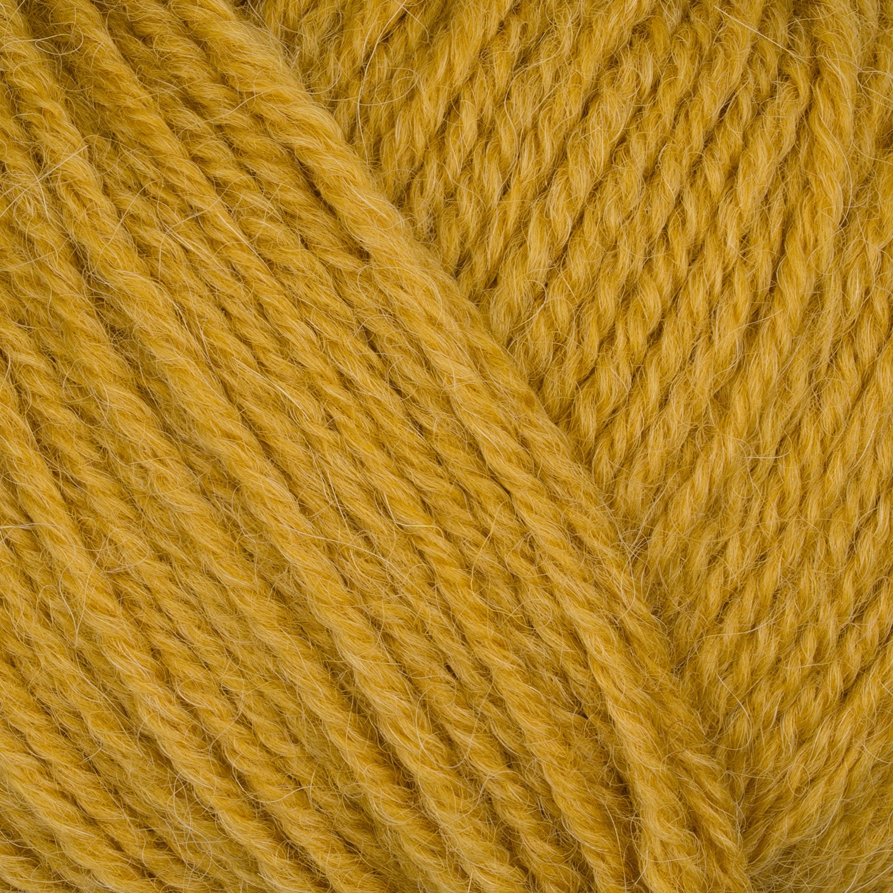 Gepard Pura Lana 130 curry close-up