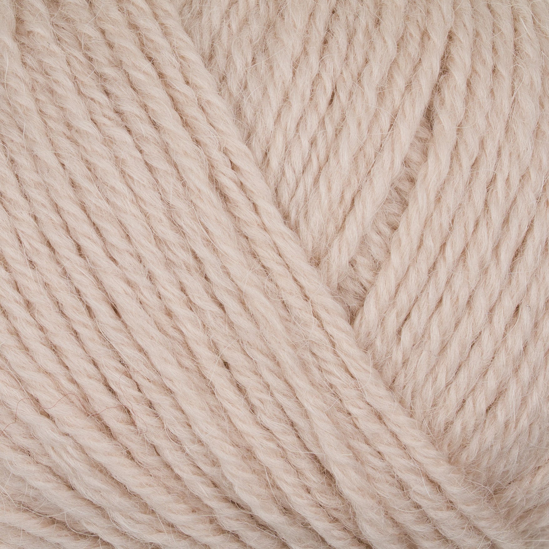 Gepard Pura Lana 142 Oats close-up