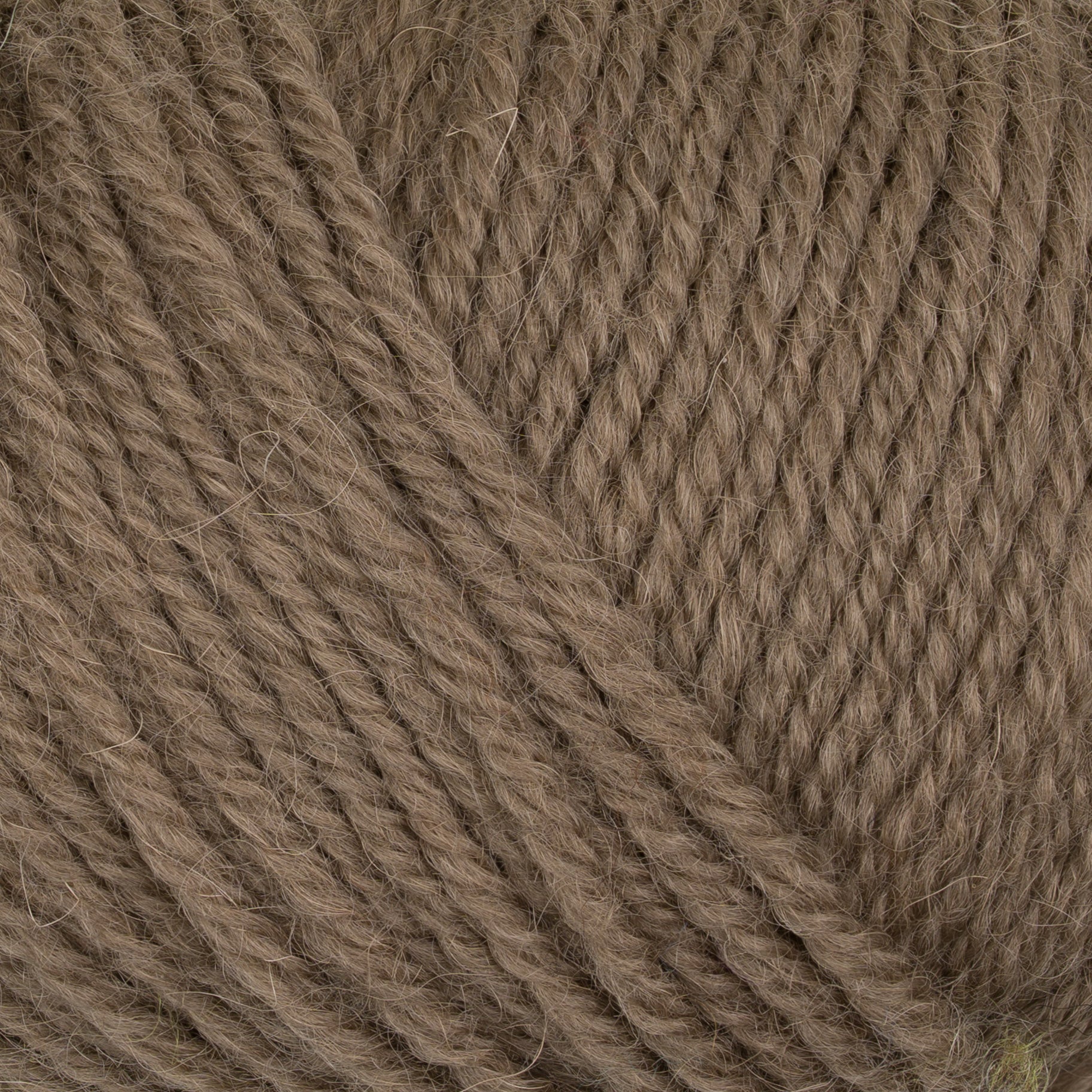 Gepard Pura Lana 146 Cafe Latte close-up