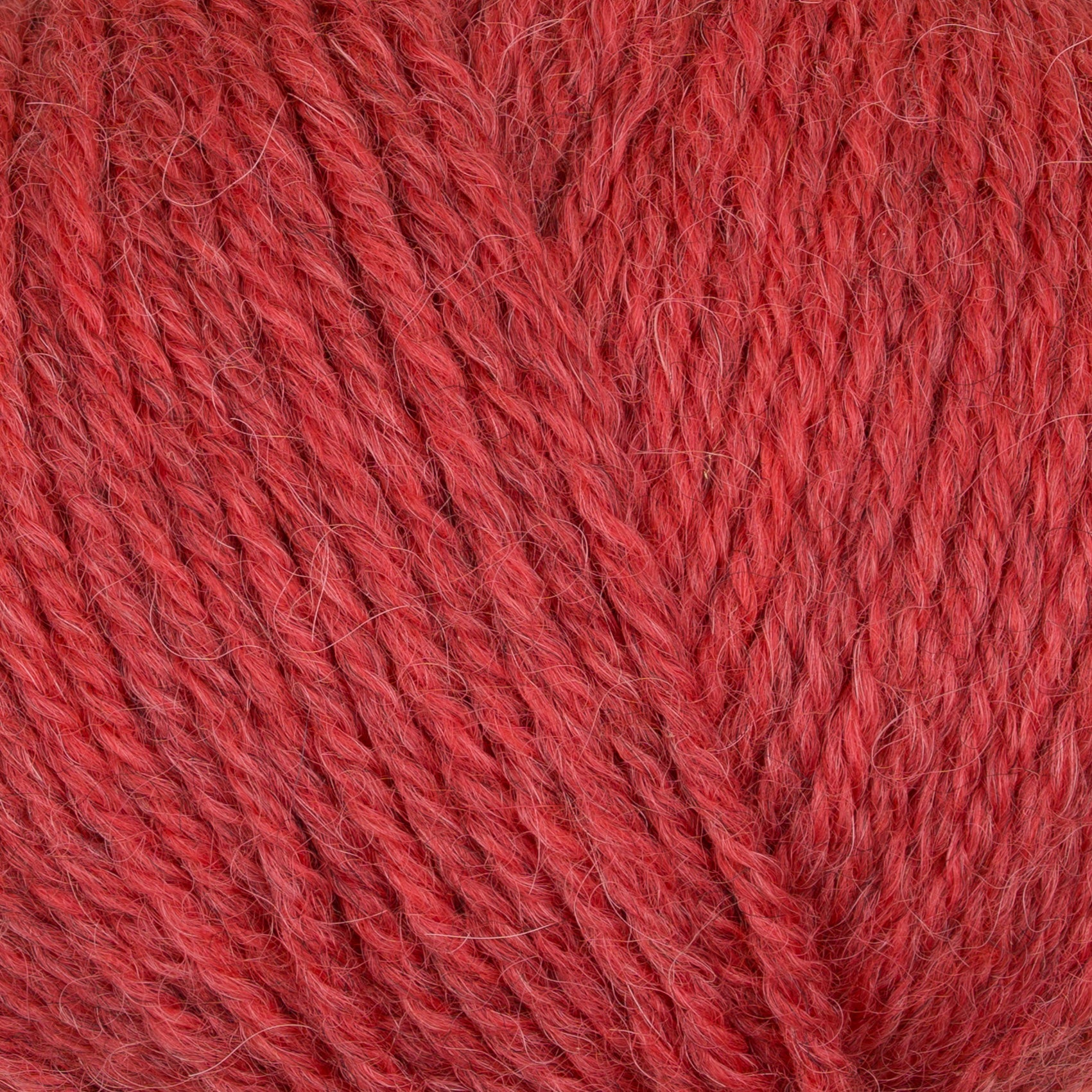 Gepard Pura Lana 228 coral red close-up