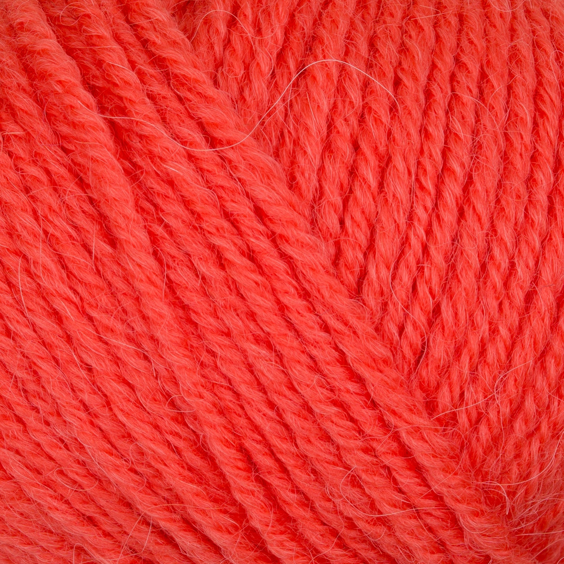 Gepard Pura Lana 232 Papaya Punch close-up