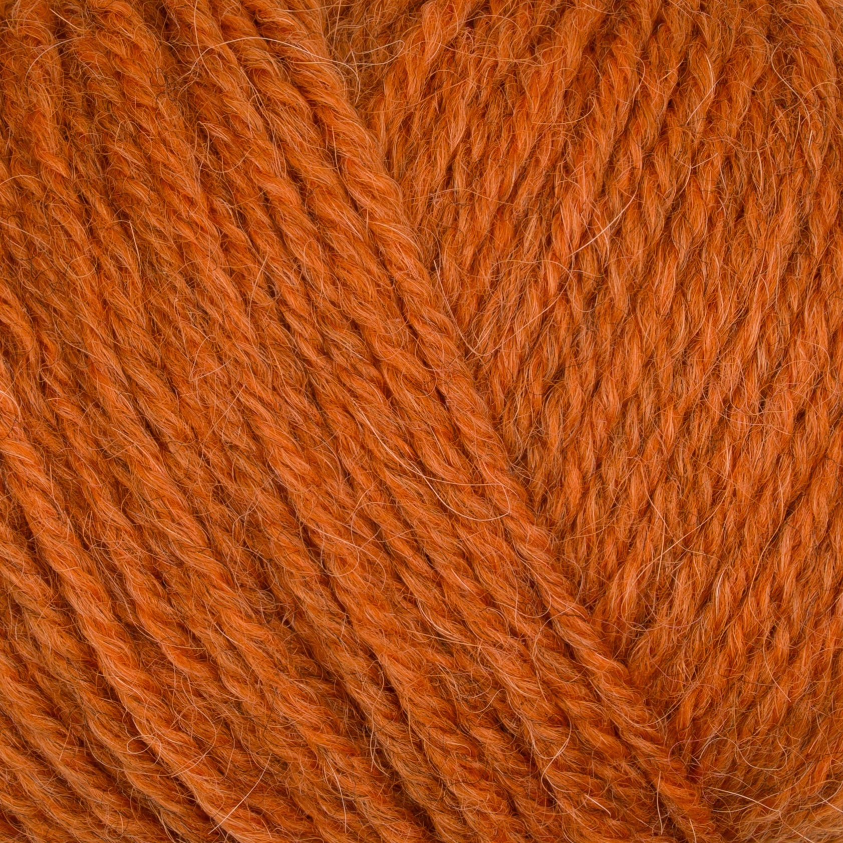 Gepard Pura Lana 240 Brandy close-up