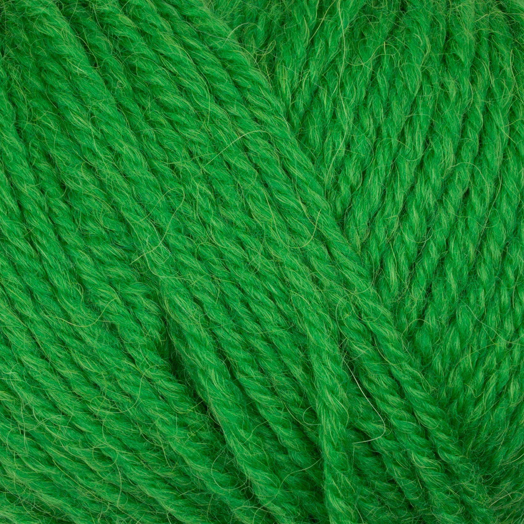 Gepard Pura Lana 832 Fashion Green close-up
