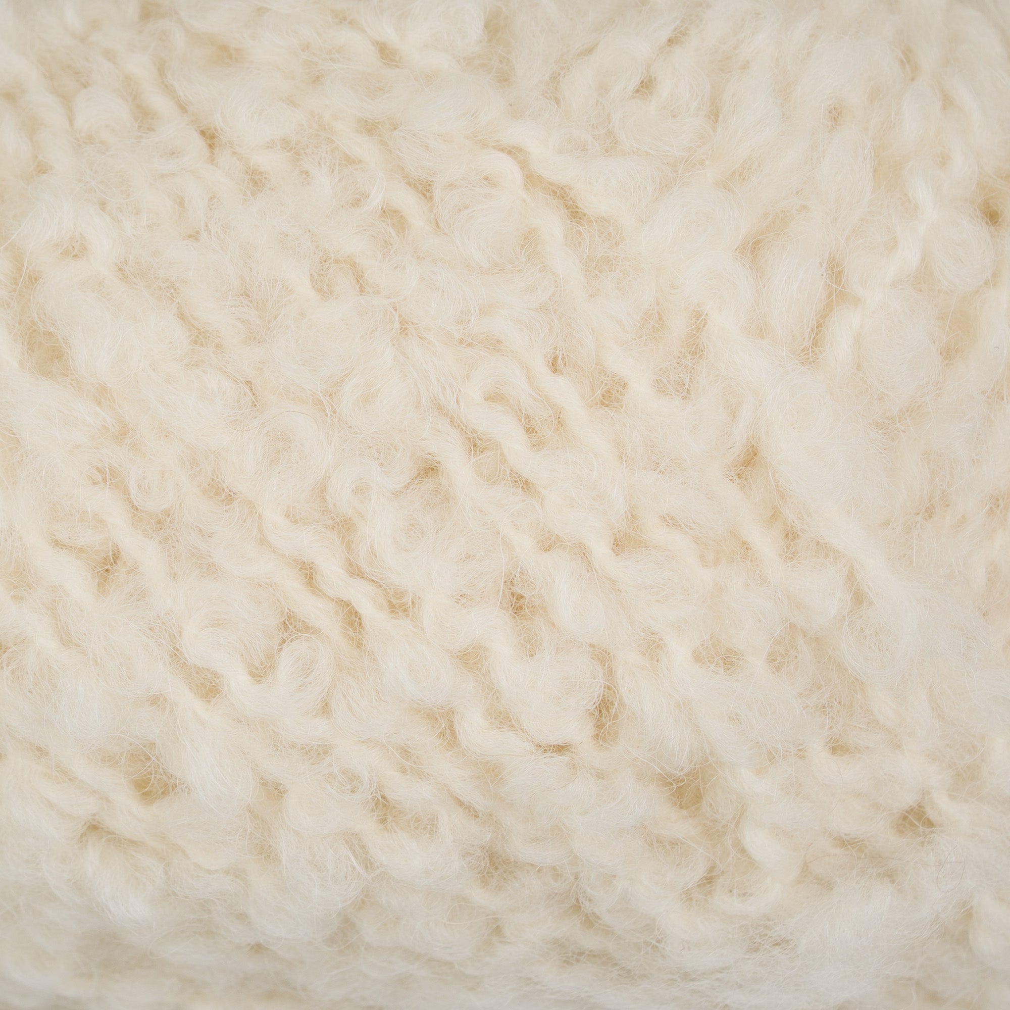 Teddy Dear 101 Off White close-up