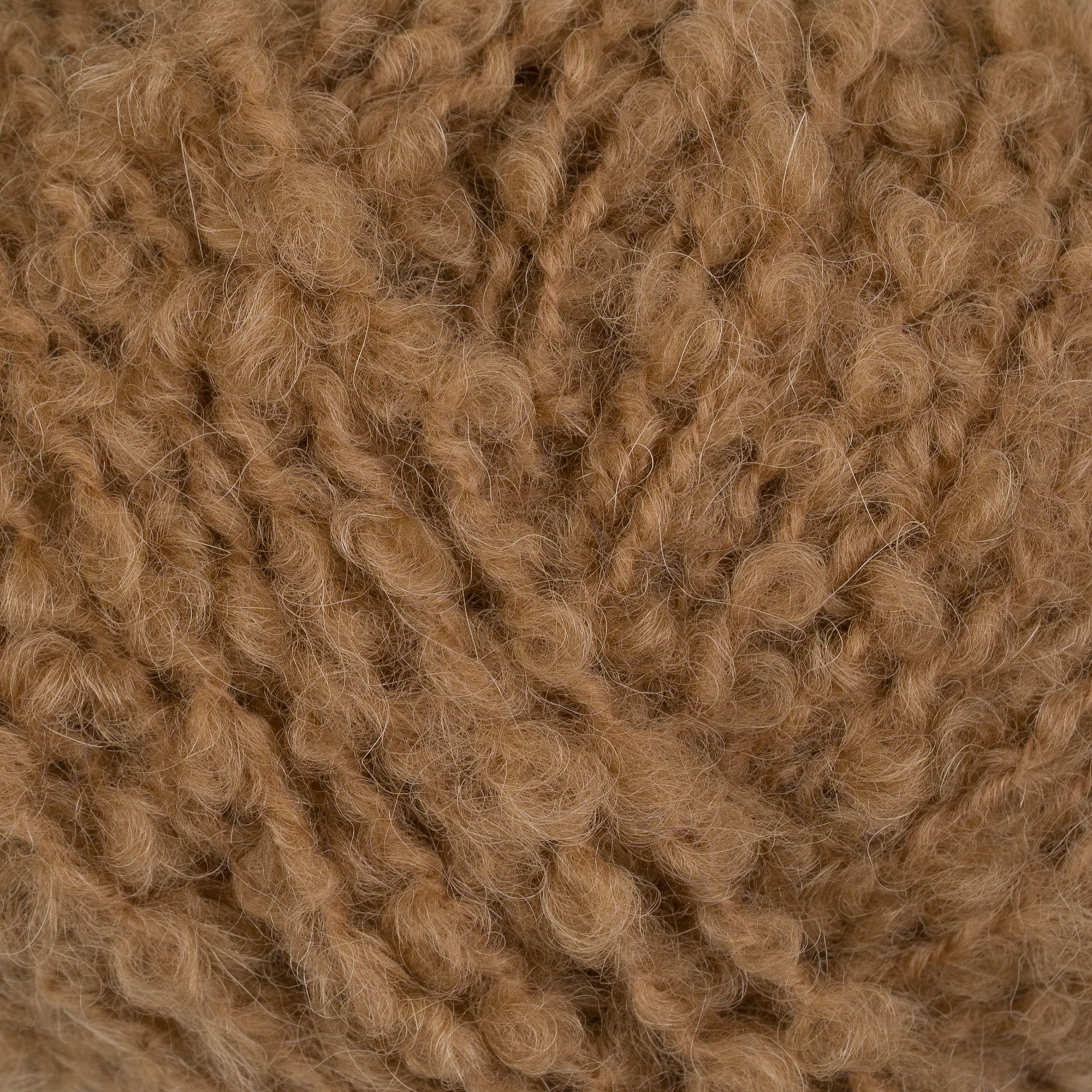 Teddy Dear 108 Beige close-up