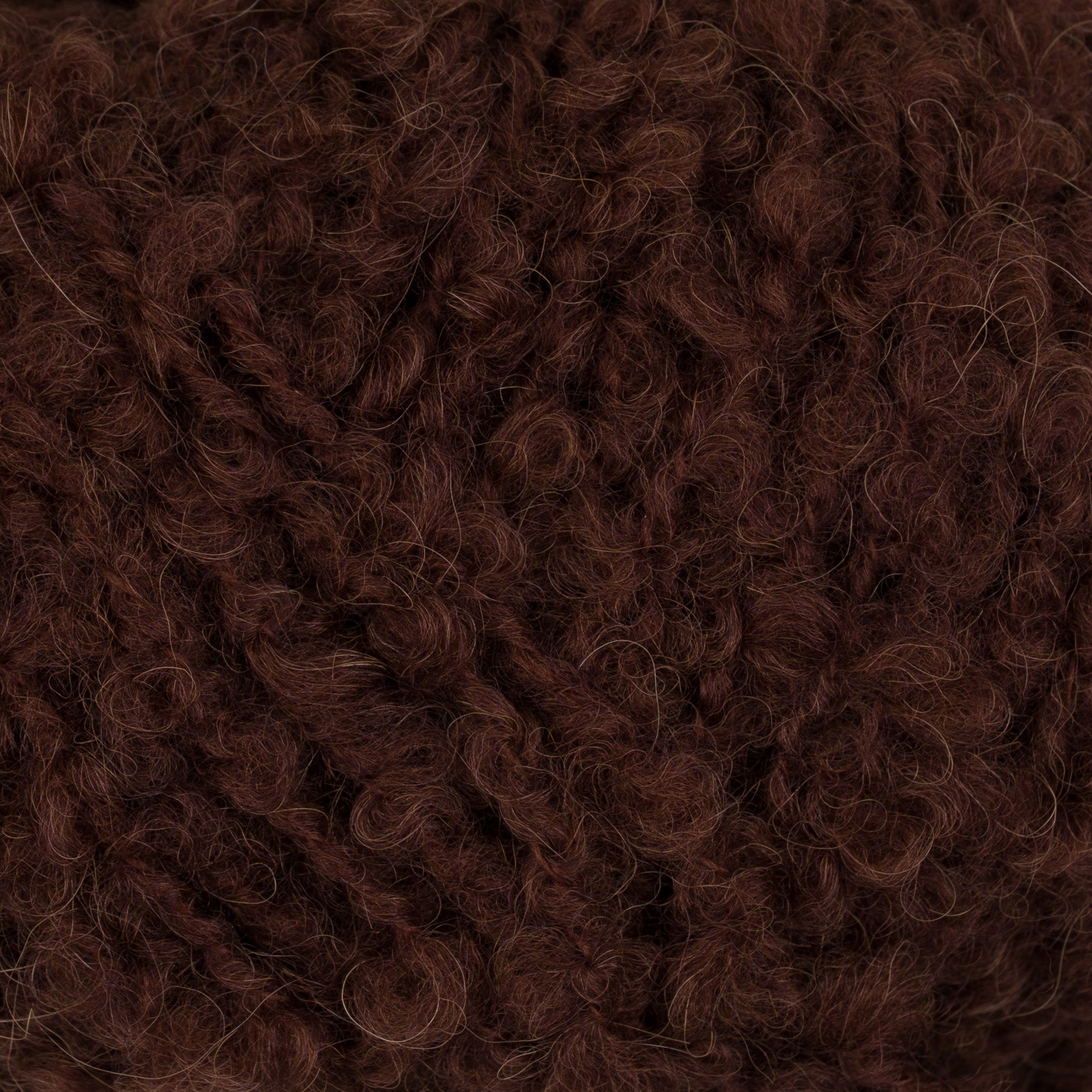 Teddy Dear 190 Coffee close-up