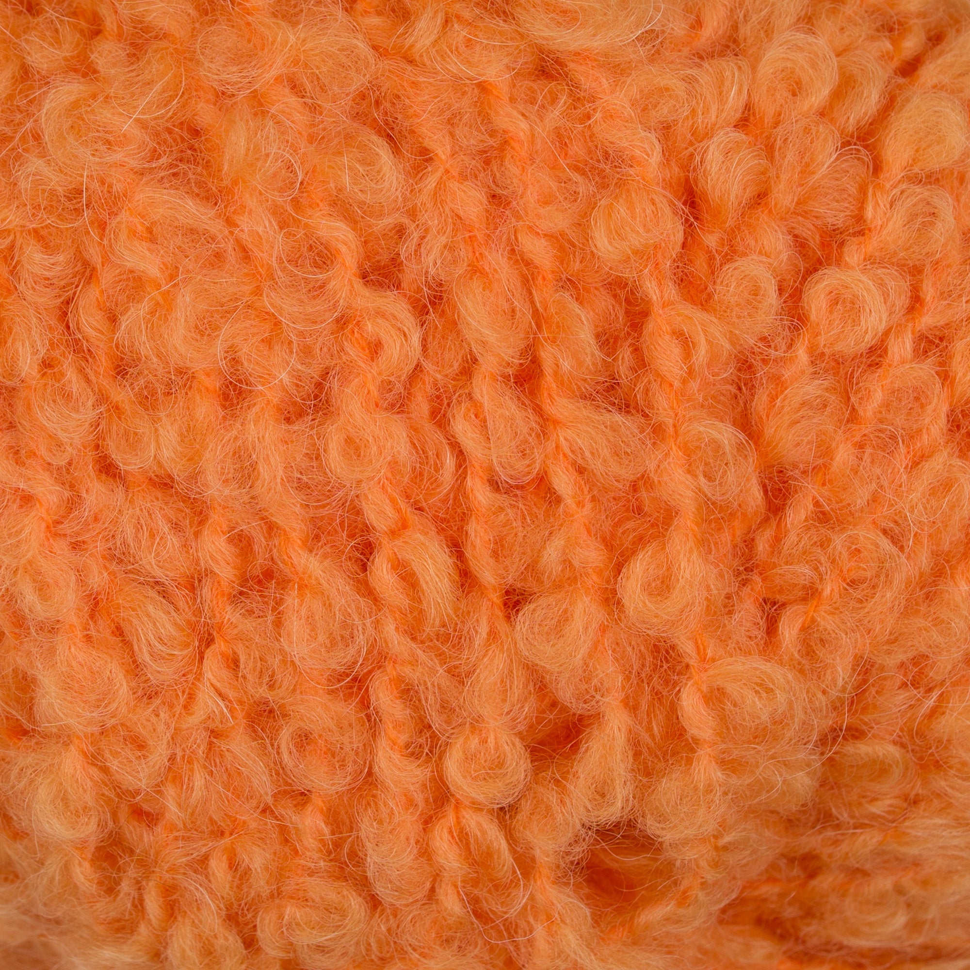Teddy Dear 214 Orange close-up