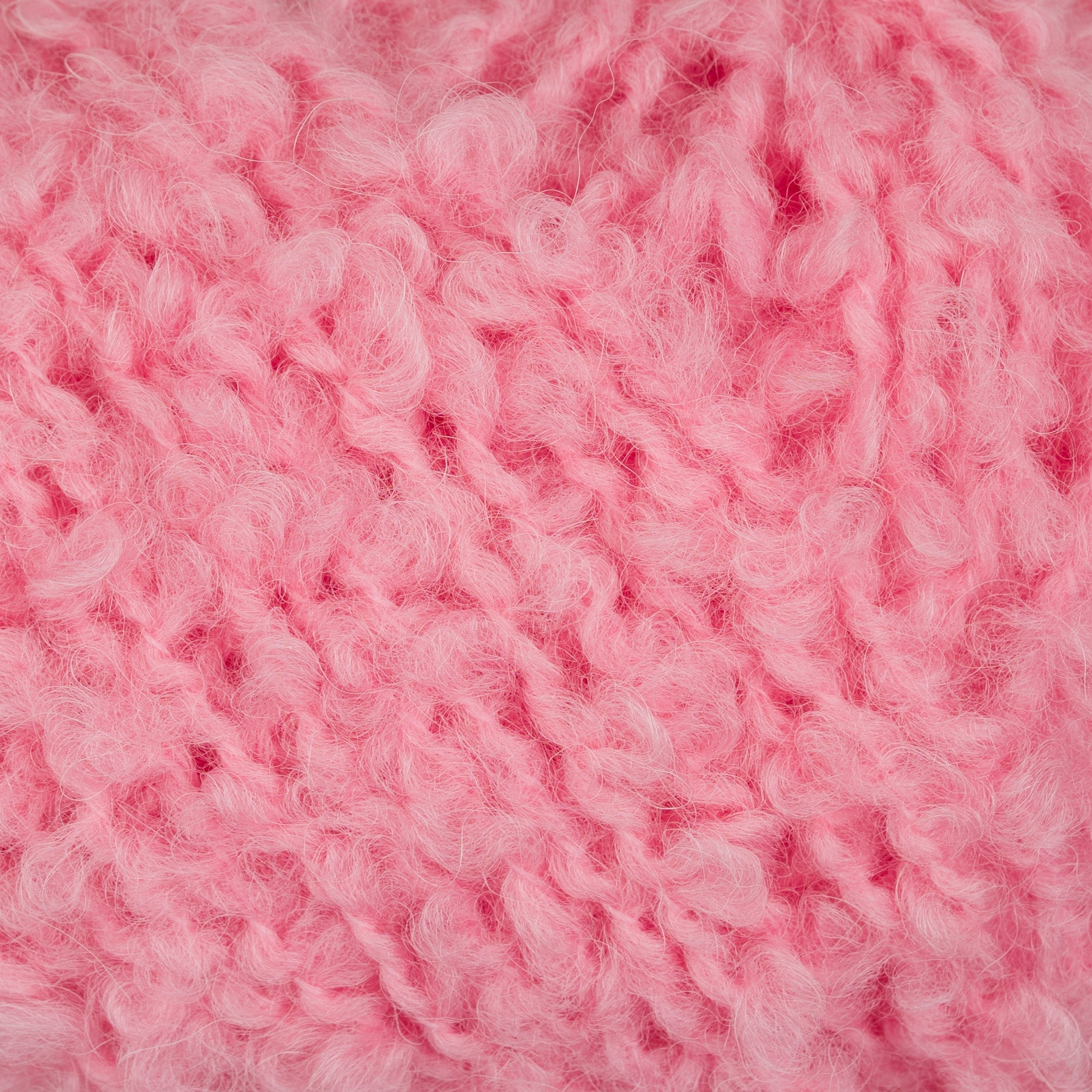 Teddy Dear 420 Bubblegum close-up