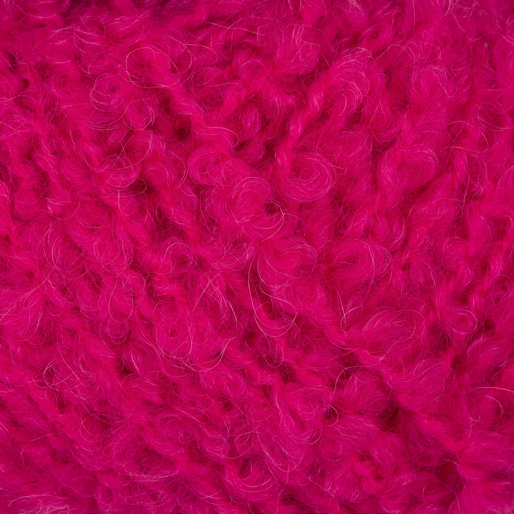 Teddy Dear 432 Candy close-up