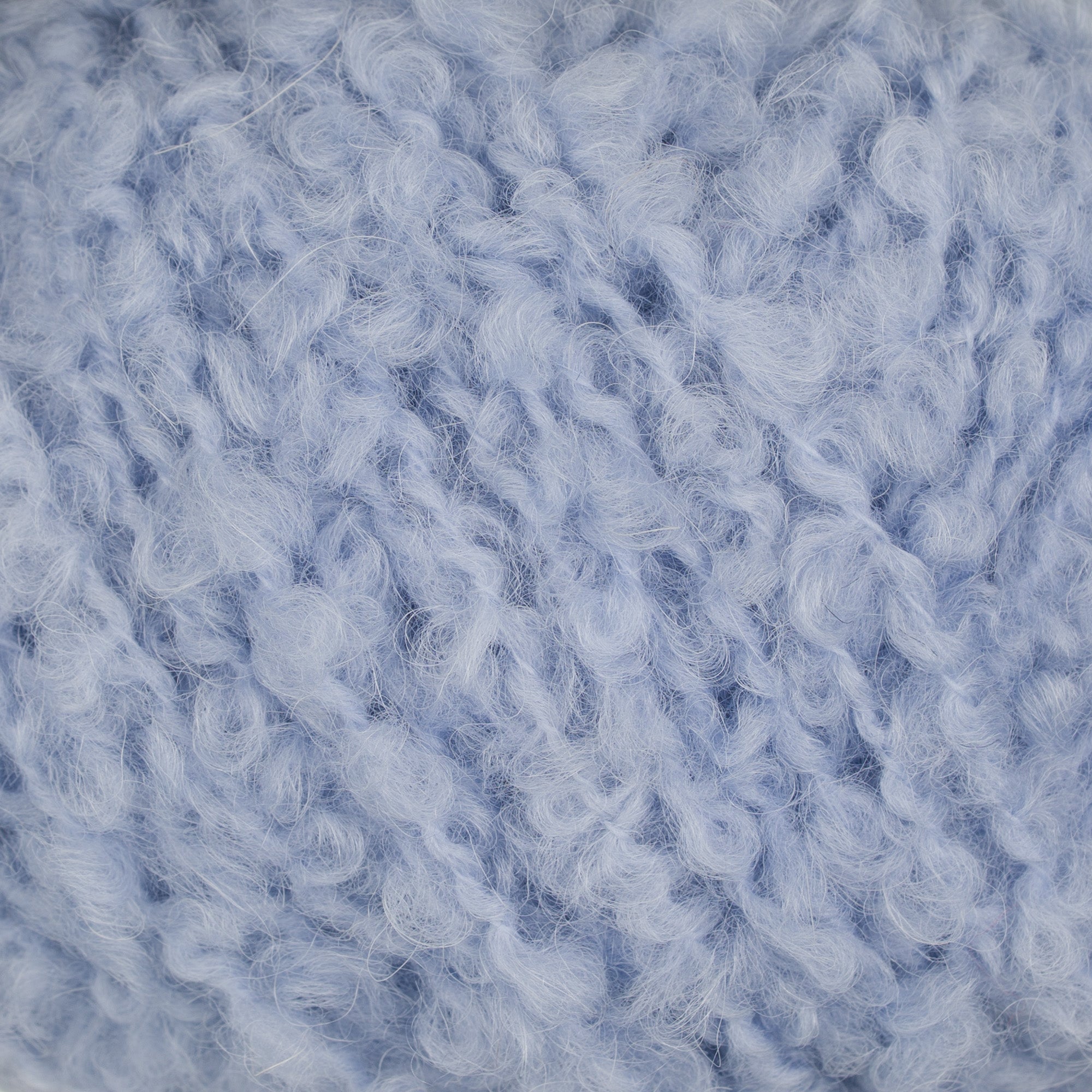 Teddy Dear 718 Blue lavender close-up